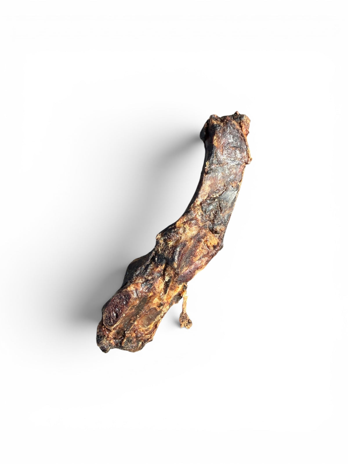 Kangaroo Dental Bone