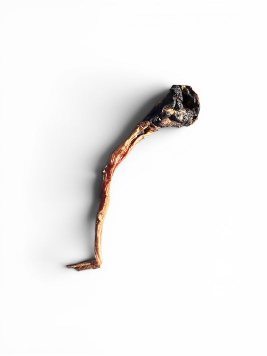 Kangaroo Tendons