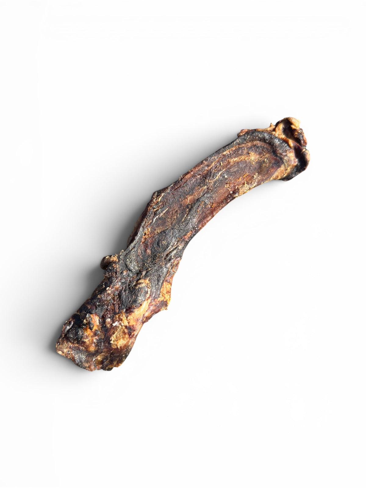 Kangaroo Dental Bone