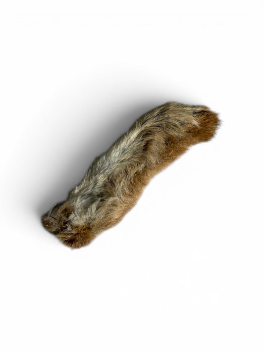 Rabbit Legs